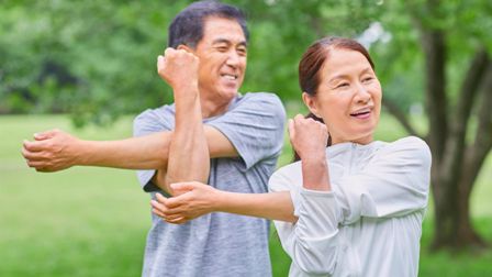 Image of an older couple exercising in a park.